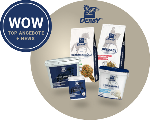 derby newsletter banner derby newsletter banner